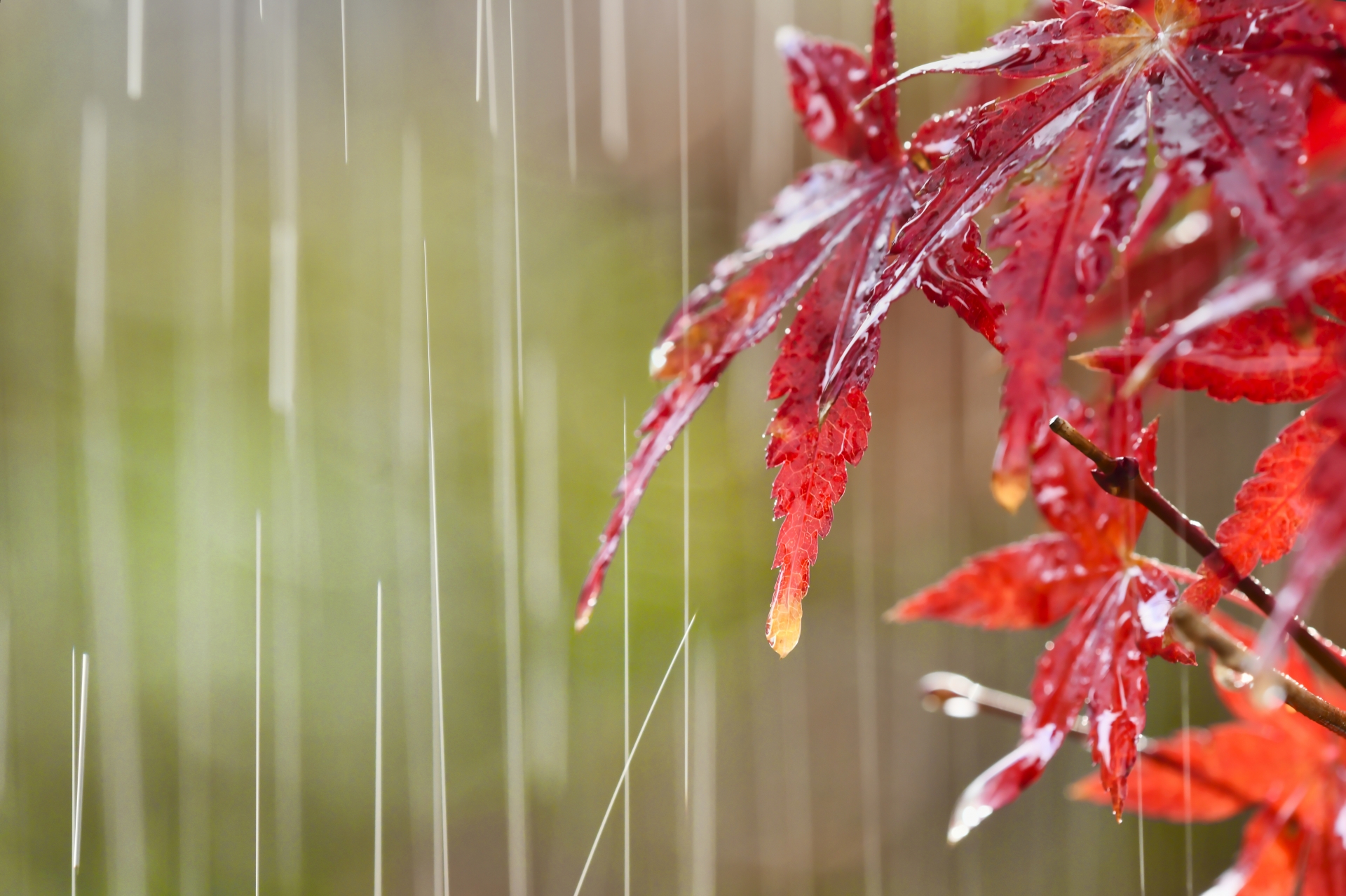 梅雨だけじゃない！秋こそ気をつけたいカビ対策