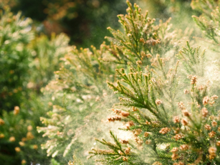 空気科学住宅（論文）No.28を更新しました。