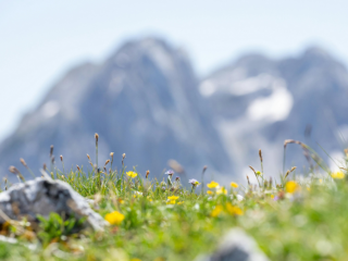 空気科学住宅（コラム）  なぜ春は空気がかすむ？―春の空気のヒミツ